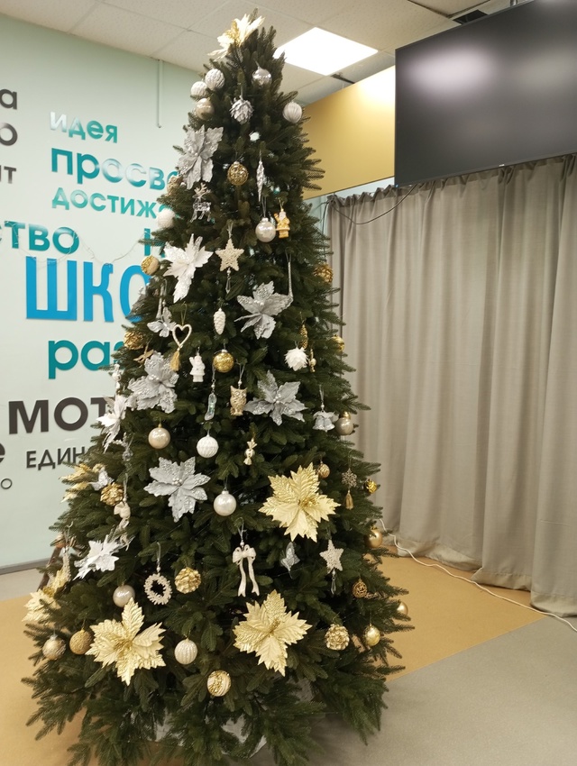 Новая школьная елка.